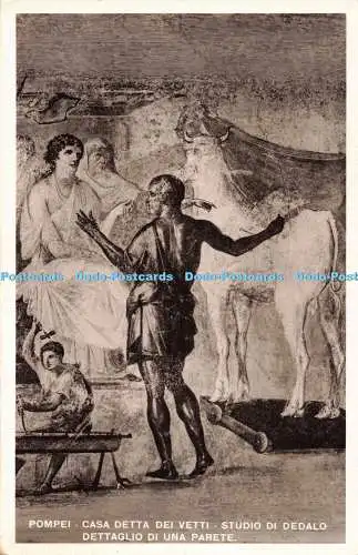R203987 Pompei Casa detta dei Vetti Studio di Dedalo Dettaglio di Una Parete RRM