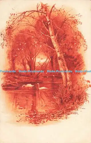 R204545 Ernest Nister Serie 46