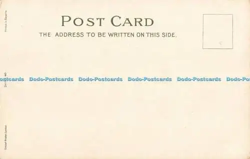 R204545 Ernest Nister Serie 46