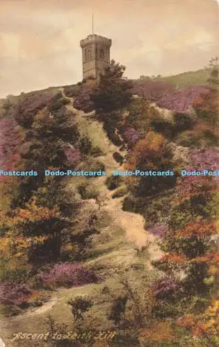 R204688 Ascent to Leith Hill Friths Series No 55607A