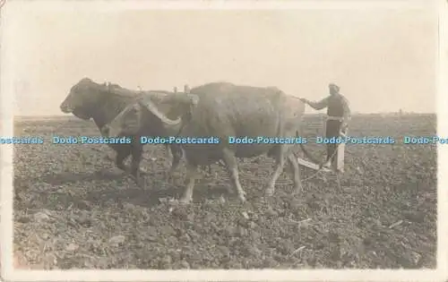 R205475 Mann arbeitet alte Fotopostkarte