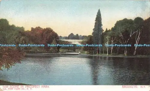R211062 5403 Szene in Prospect Park Ill Post Card Co Brooklyn N Y