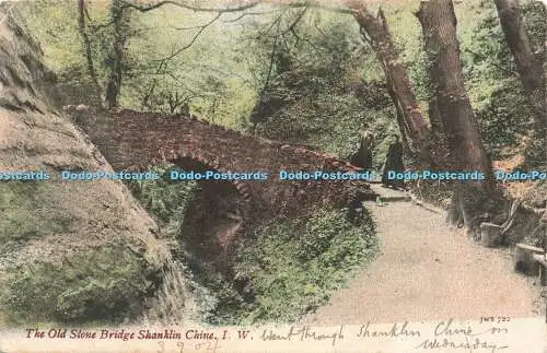 R206095 The Old Stone Bridge Shanklin Chine I W JWS 722