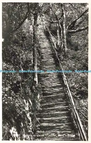 R213175 Looking up Jacobs Ladder Devils Bridge RP Dennis