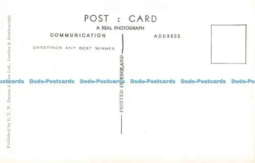 R213175 Looking up Jacobs Ladder Devils Bridge RP Dennis