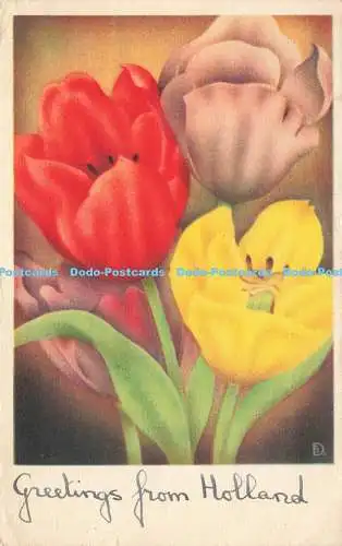 R207969 Grüße aus Holland Tulpen Grußkarte Postkarte