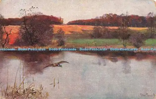 R213728 Gemälde See Enten Postkarte 1919