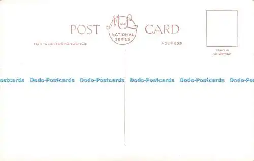 R213755 Corbiere Lighthouse Trikot M und L National Series