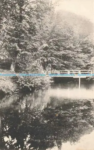 R215800 Saeby Aaen i Saebygaard Skov Stender 13182