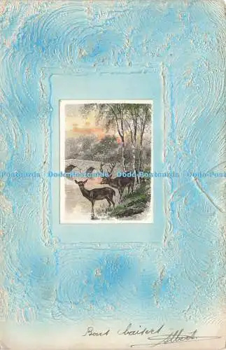 R215975 Hirschbrücke Grußkarte Postkarte 1905