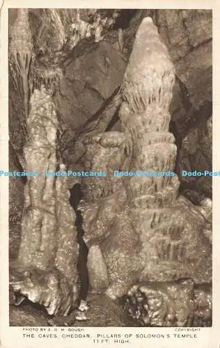 R216558 A G H Gough The Caves Cheddar Pillars of Salomons Temple