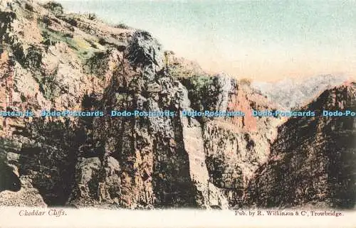 R217153 Cheddar Cliffs R Wilkinson