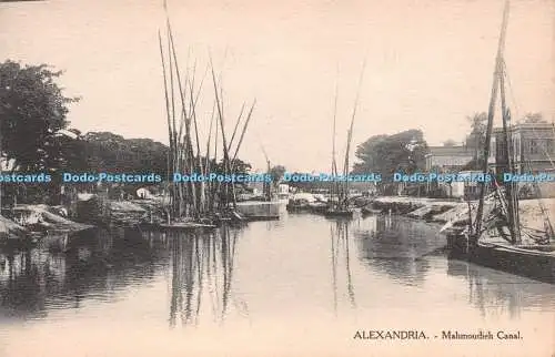 R219994 Alexandria Mahmoudieh Kanal L C 36