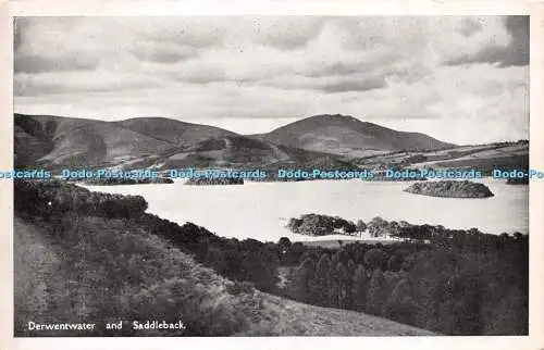 R221636 Derwentwater and Saddleback The Westmorland Gazette