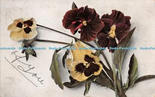 R220262 Du Blumenritter Serie Nr 1028 Sachsen Postkarte 1905