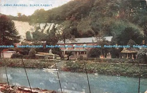 R220426 Arundel Black Rabbit Photochrom Celesque Series London and Tunbridge Wel