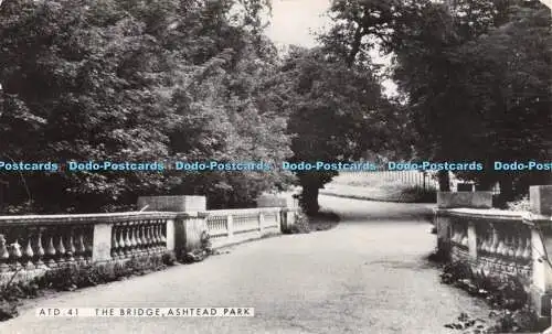 R223660 ATD 41 The Bridge Ashtead Park RP 1979
