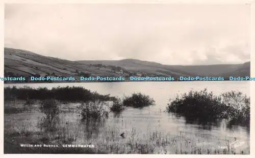 R222426 Unkraut und Binsen Semmerwasser 7440 Walter Scott RP