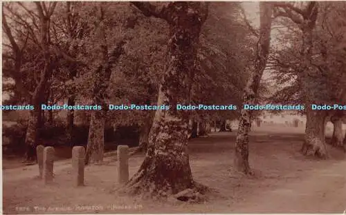 R221471 7976 The Avenue Manaton Judges 1928