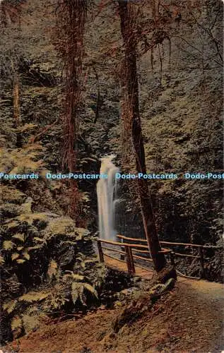 R224888 Glen Mona Fall I O M 1909 Grosvenor Serie