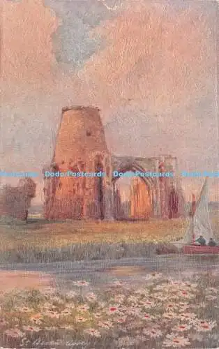 R226538 The Marguerite St Benets Abbey on the Bure Jarrolds Wild Flower Serie P