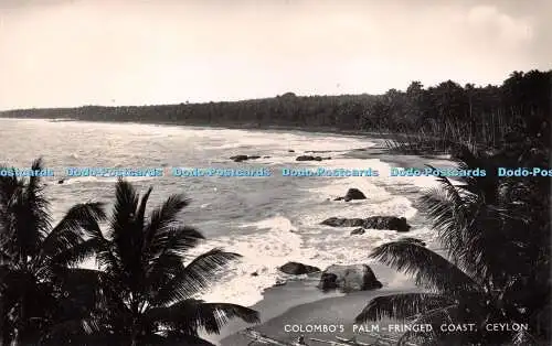 R230592 Colombos Palmenfransen Küste Ceylon Platte Nr. 12 Copyright British Made