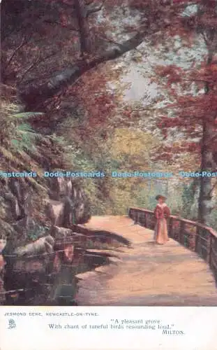 R229273 Jesmond Dene Newcastle on Tyne Ein angenehmer Hain mit Gesang von melodischem Bi