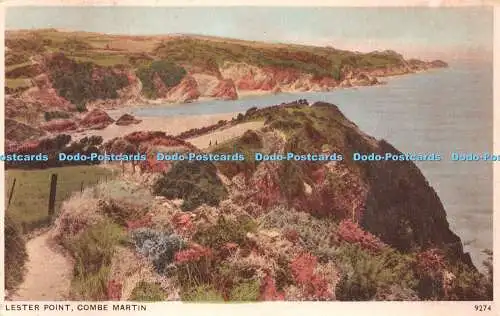 R230788 Lester Point Combe Martin E A Sweetman Solograph Series De Luxe Photogra
