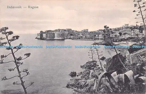 R232366 Dubrovnik Ragusa Postkarte