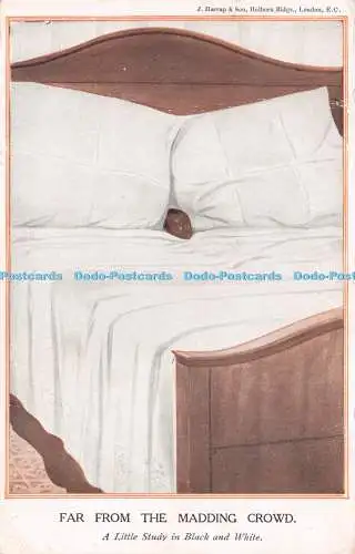 R230905 Far From The Madding Crowd A Little Study in Black and White J Harrap Ho