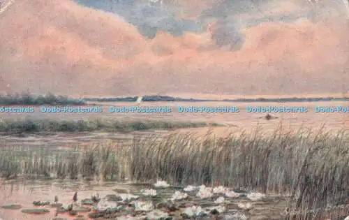 R234110 The Water Lily Hickling Broad Wild Flowers Jarrold 1910