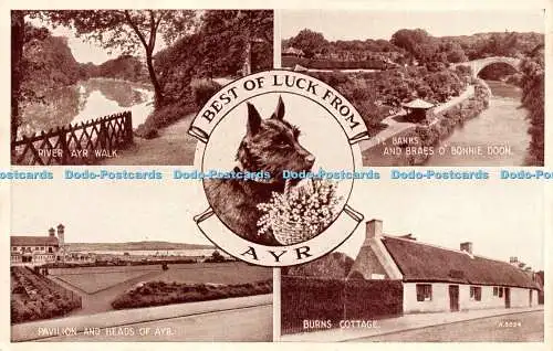 R232848 Ayr Multi View Valentine No 5034 Phototype