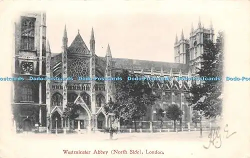 R232867 Westminster Abbey North Side London H S E