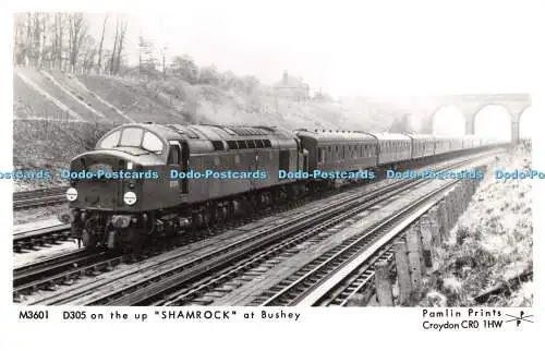 R231565 D 305 on the up Shamrock at Bushey Pamlin Prints Post Card