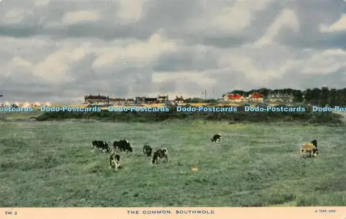 R231922 The Common Southwold Tuck Rapholette Serie Postkarte
