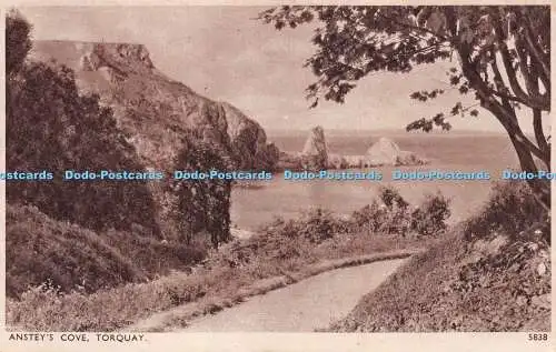 R233441 Ansteys Cove Torquay Solograph Series De Luxe Photogravure E A Sweetman