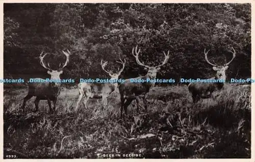 R238190 Hirsch in Deeside J B weiß Das Beste aller Serien Dundee RP