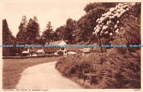 R234910 Dartmeet The Drive to Badgers Holt V5462 Photochrom