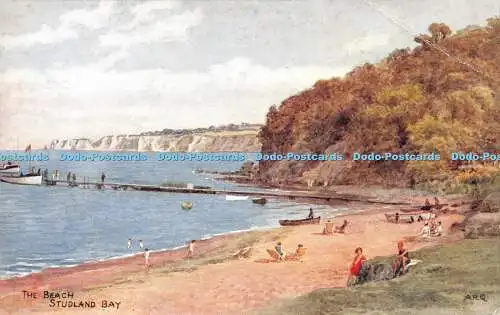 R236406 The Beach Studland Bay Salmon A R Q
