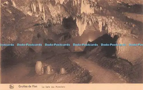 R235379 Nels Grottes de Han La Salle des Mamelons S A des Grottes de Han sur Les