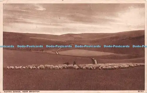 R239347 Sussex Downs in der Nähe von Brighton Photochrom London und Tunbridge Wells