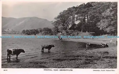 R239373 Broomhill Point Derwentwater Chadwick Studio Productions 491 Oakwood Lan