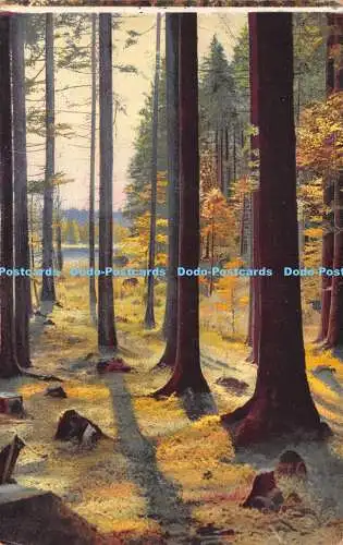 R240234 Unbekanntes Holz Nenke und Ostermaier Photochromie Serie 335 Nr 4944 Post Ca