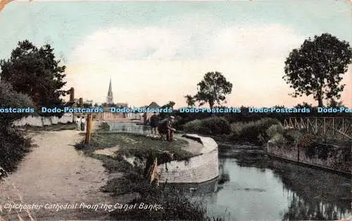 R242766 Chichester Cathedral from the Canal Banks 1907