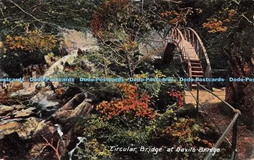 R243061 Rundbrücke bei Devils Bridge Frank Phillips Serie