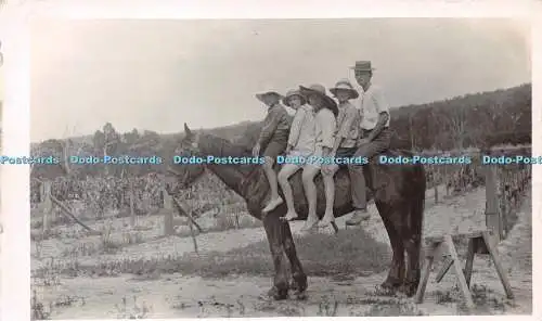 R243549 Pferd Menschen alte Fotografie Postkarte