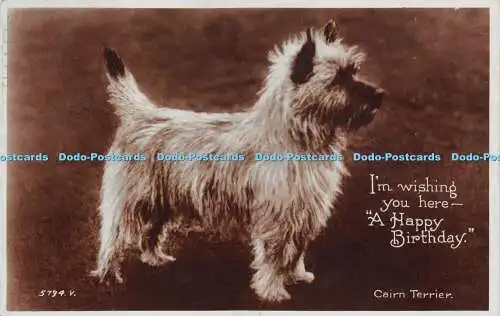 R243690 5794 Ich wünsche Ihnen hier alles Gute zum Geburtstag Cairn Terrier Valentines RP 19