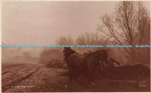 R243695 690 A Wintermorn Richter