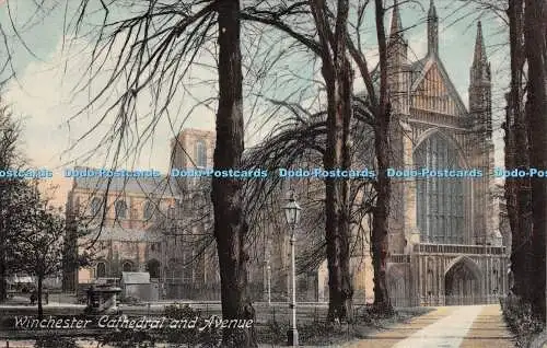 R246387 Winchester Cathedral and Avenue F Frith No 37240