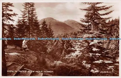 R245767 Ansicht in Pucks Glen bei Dunoon Valentine Postkarte RP